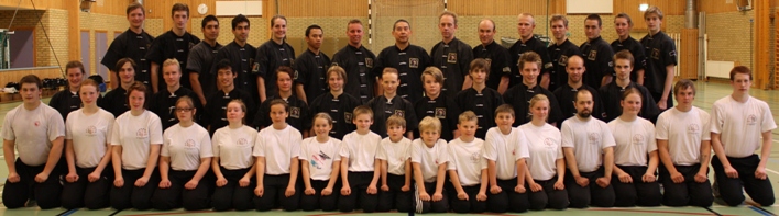 Deltagare i helgläger VT 2011 som annordnades av Skövde Wushuförening med Da Sifu Louis Linn (övre raden mitten).